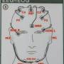 eeg_eog_verkabelung.jpg